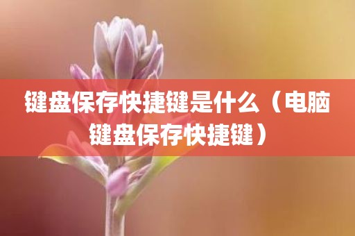 键盘保存快捷键是什么（电脑键盘保存快捷键）