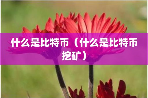 什么是比特币（什么是比特币挖矿）