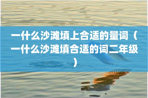 一什么沙滩填上合适的量词（一什么沙滩填合适的词二年级）