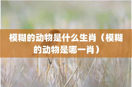 模糊的动物是什么生肖（模糊的动物是哪一肖）