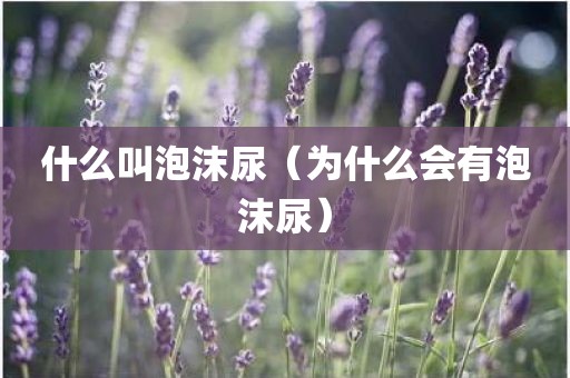 什么叫泡沫尿（为什么会有泡沫尿）