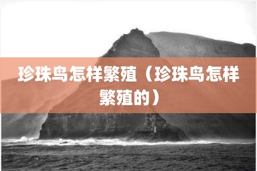珍珠鸟怎样繁殖（珍珠鸟怎样繁殖的）