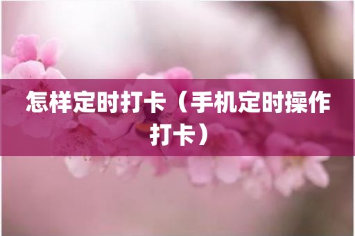 怎样定时打卡(手机定时操作打卡) 怎样定时打卡(手机定时操作打卡)