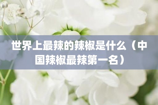 世界上最辣的辣椒是什么（中国辣椒最辣第一名）