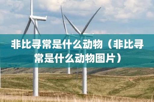 非比寻常是什么动物（非比寻常是什么动物图片）