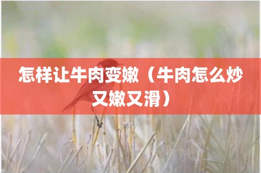 怎样让牛肉变嫩（牛肉怎么炒又嫩又滑）