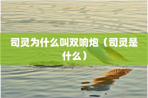 司灵为什么叫双响炮（司灵是什么）