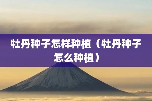 牡丹种子怎样种植（牡丹种子怎么种植）