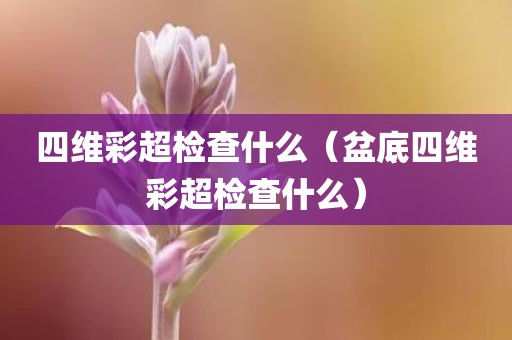 四维彩超检查什么（盆底四维彩超检查什么）
