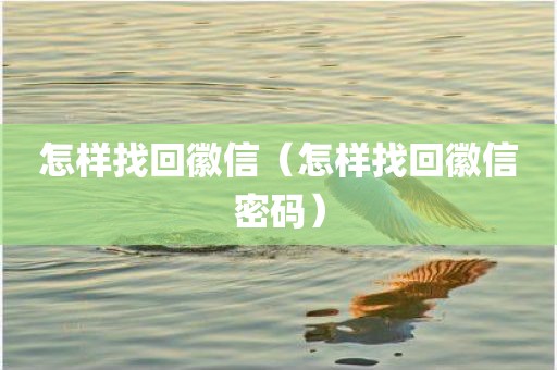 怎样找回徽信（怎样找回徽信密码）