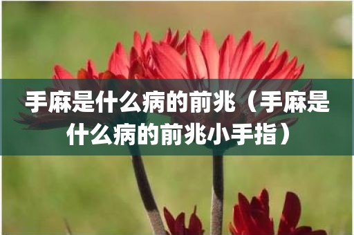 手麻是什么病的前兆（手麻是什么病的前兆小手指）