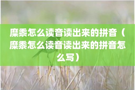 糜黍怎么读音读出来的拼音（糜黍怎么读音读出来的拼音怎么写）