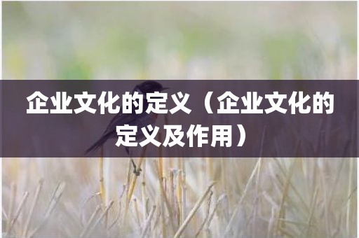 企业文化的定义（企业文化的定义及作用）