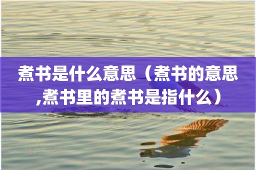 煮书是什么意思（煮书的意思,煮书里的煮书是指什么）