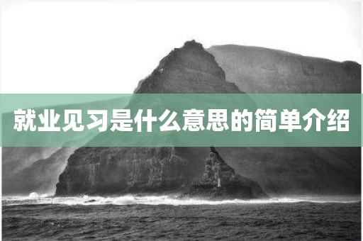就业见习是什么意思的简单介绍