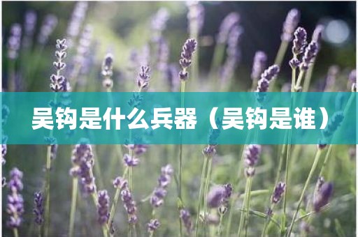 吴钩是什么兵器(吴钩是谁)