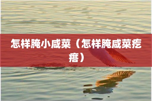 怎样腌小咸菜（怎样腌咸菜疙瘩）