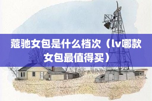 蔻驰女包是什么档次（lv哪款女包最值得买）