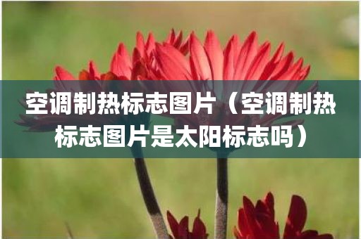 空调制热标志图片（空调制热标志图片是太阳标志吗）