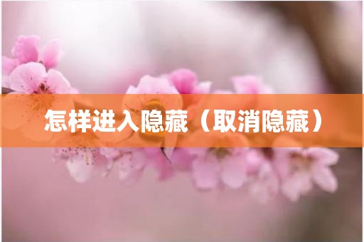 怎样进入隐藏（取消隐藏）