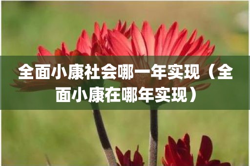 全面小康社会哪一年实现（全面小康在哪年实现）