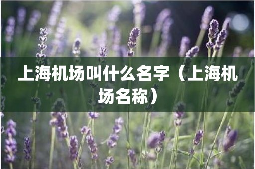上海机场叫什么名字(上海机场名称)