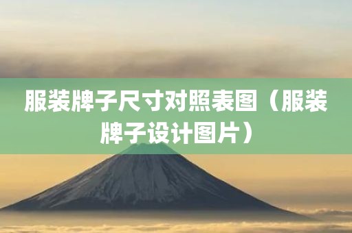服装牌子尺寸对照表图（服装牌子设计图片）