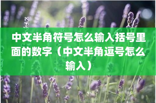 中文半角符号怎么输入括号里面的数字（中文半角逗号怎么输入）
