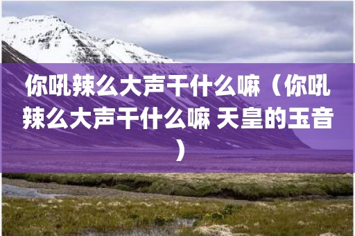 你吼辣么大声干什么嘛（你吼辣么大声干什么嘛 天皇的玉音）