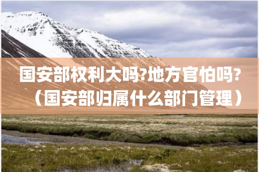国安部权利大吗?地方官怕吗?（国安部归属什么部门管理）
