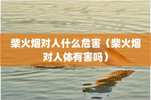 柴火烟对人什么危害（柴火烟对人体有害吗）