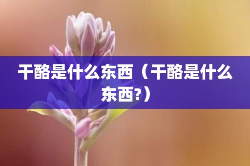 干酪是什么东西（干酪是什么东西?）