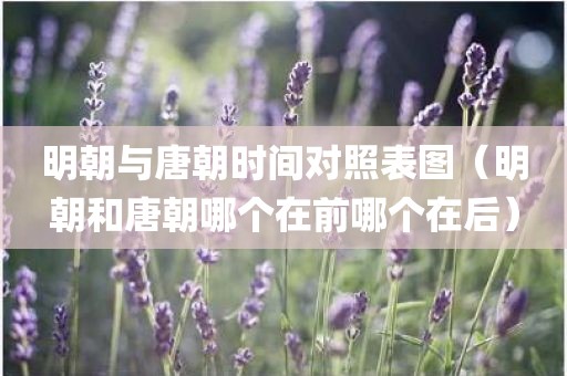 明朝与唐朝时间对照表图（明朝和唐朝哪个在前哪个在后）