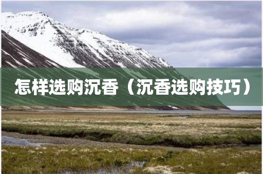 怎样选购沉香（沉香选购技巧）