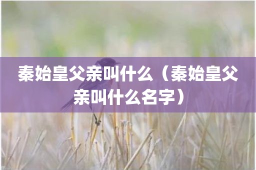 秦始皇父亲叫什么（秦始皇父亲叫什么名字）