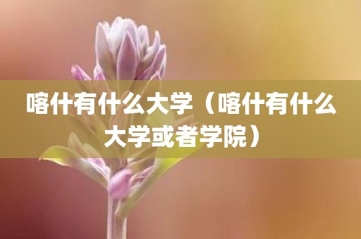 喀什有什么大学（喀什有什么大学或者学院）