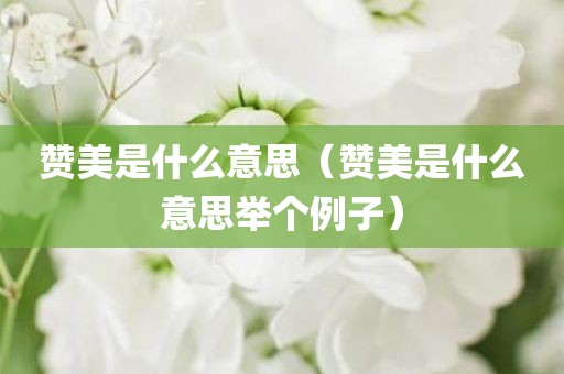 赞美是什么意思(赞美是什么意思举个例子) 赞美是什么意思(赞美是什么意思举个例子)