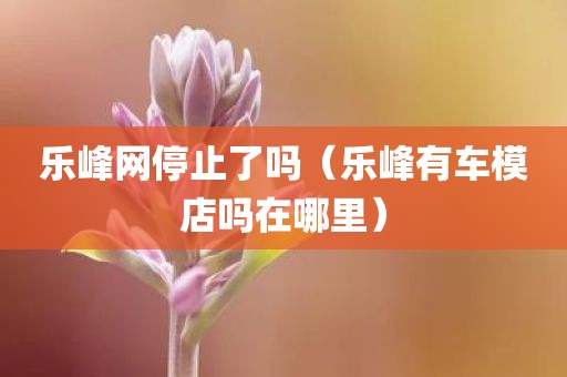 乐峰网停止了吗（乐峰有车模店吗在哪里）
