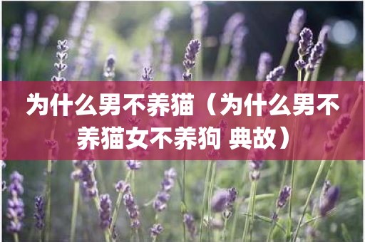 为什么男不养猫（为什么男不养猫女不养狗 典故）