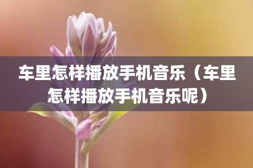 车里怎样播放手机音乐（车里怎样播放手机音乐呢）