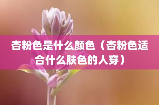 杏粉色是什么颜色（杏粉色适合什么肤色的人穿）