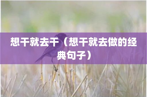 想干就去干（想干就去做的经典句子）