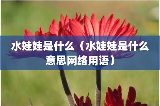 水娃娃是什么（水娃娃是什么意思网络用语）