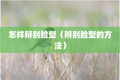 怎样辩别脸型（辨别脸型的方法）