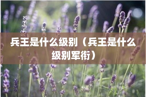 兵王是什么级别(兵王是什么级别军衔)