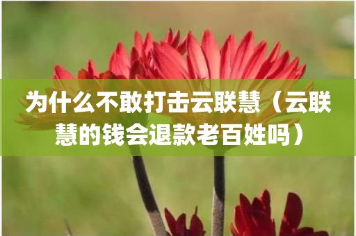 为什么不敢打击云联慧(云联慧的钱会退款老百姓吗)