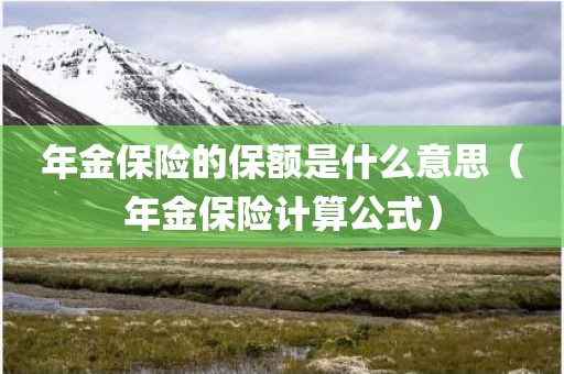 年金保险的保额是什么意思（年金保险计算公式）