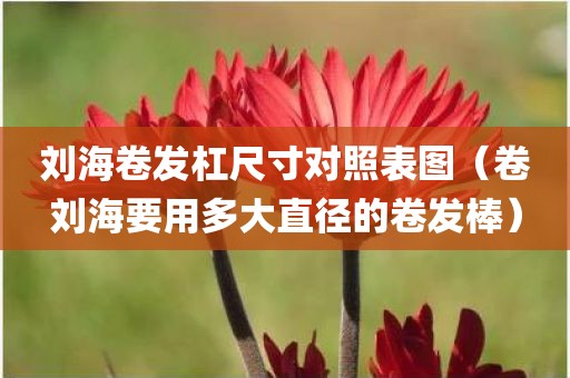 刘海卷发杠尺寸对照表图（卷刘海要用多大直径的卷发棒）