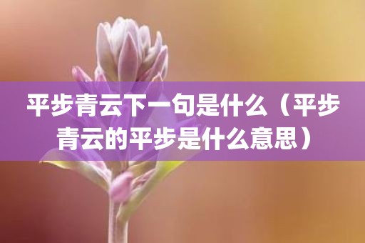 平步青云下一句是什么（平步青云的平步是什么意思）