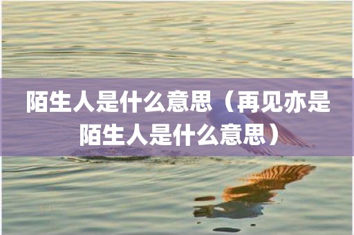 陌生人是什么意思(再见亦是陌生人是什么意思)